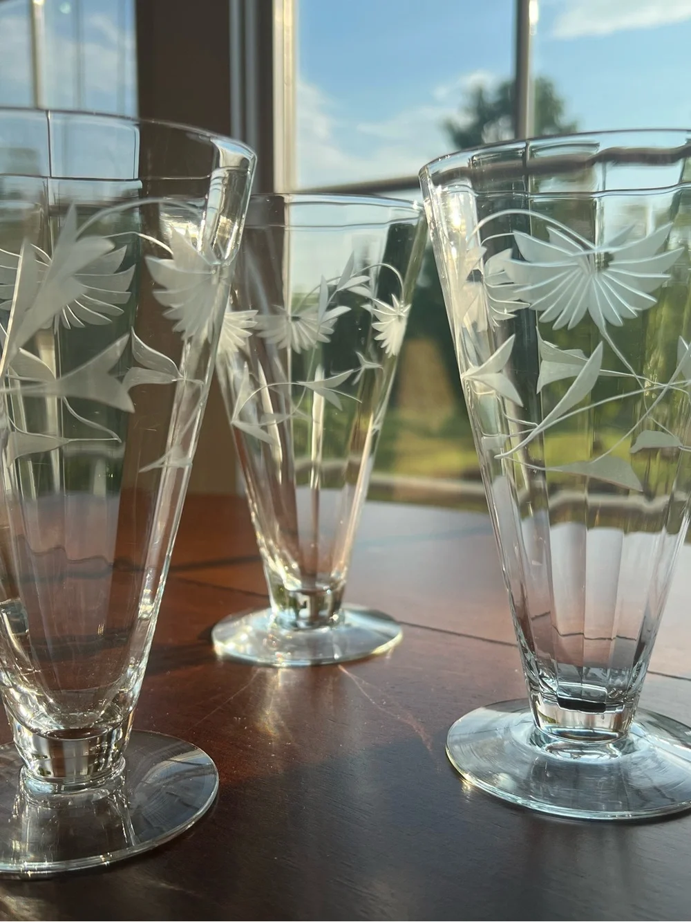 Vintage Atomic MCM Mid Century Modern Etched Glass Floral Pilsner Set of 6